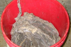 Vancouver-pump-clog-material